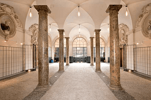 Castello del Valentino-Sala delle Colonne